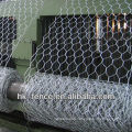 hexagonal wire net